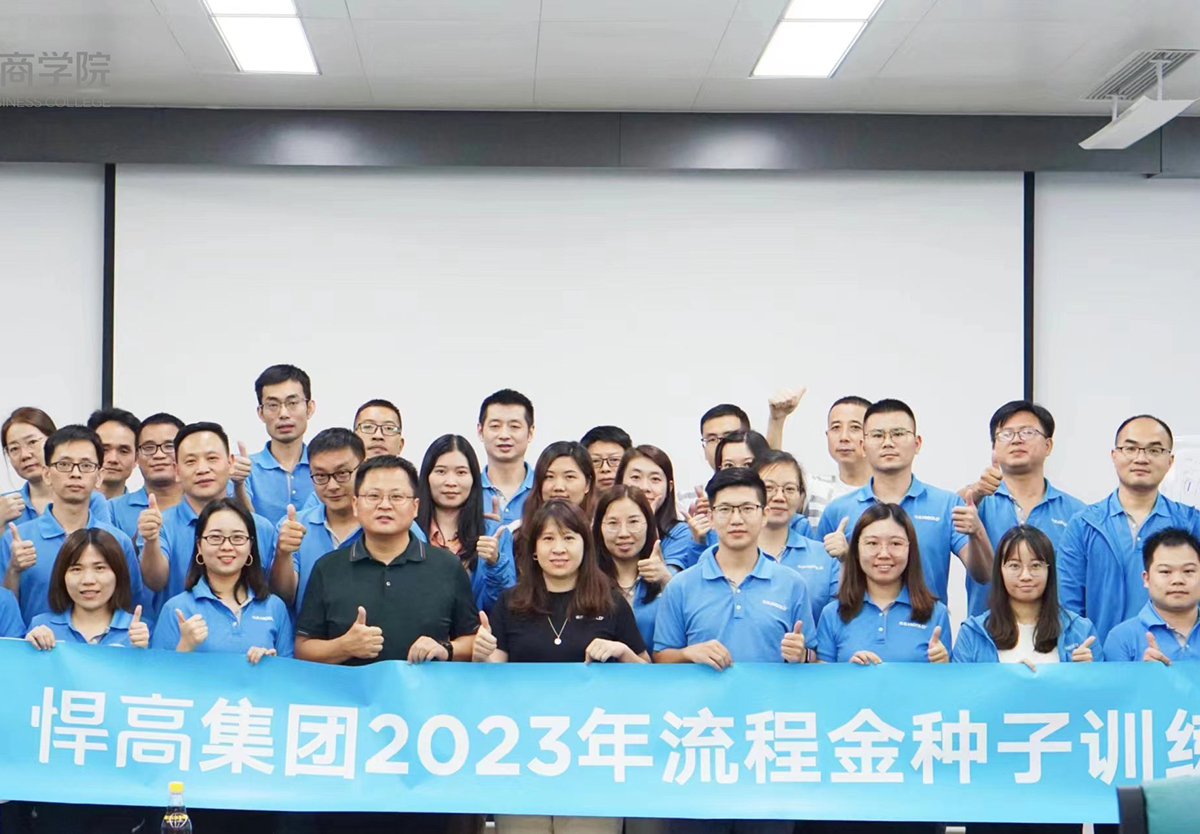 推进流程金种子项目，强化效率为王、结果导向的执行观